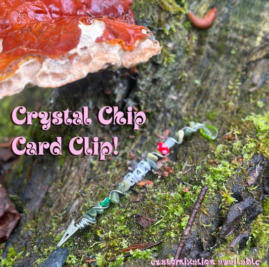 CRYSTAL CHIP CARD CLIP!